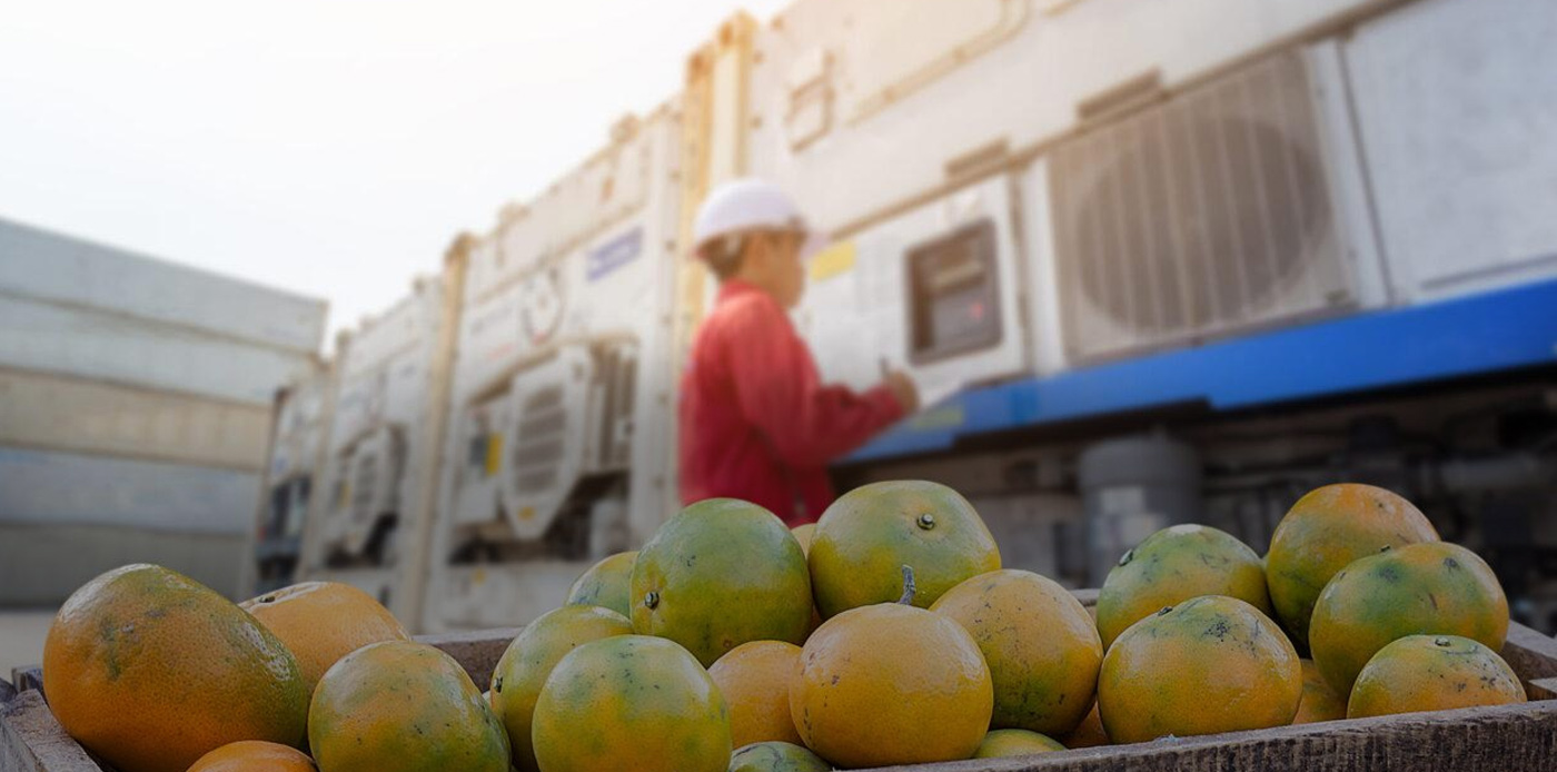 Reefer Container Renting Services in Maldives