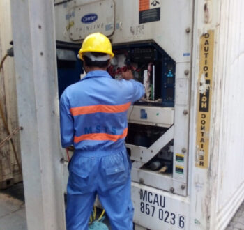 Reefer Container Services in Maldives