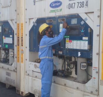 Reefer Container Services in Maldives