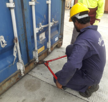 Reefer Container Services in Maldives